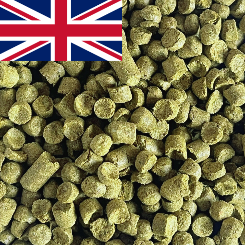 English Hops