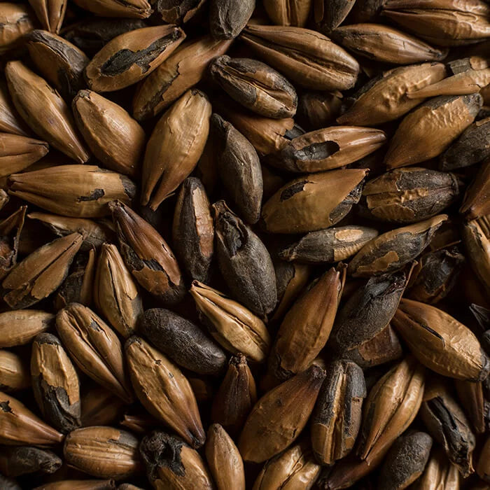 Roasted Malt