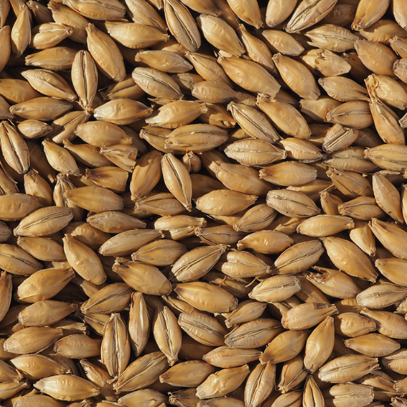 Base Malts