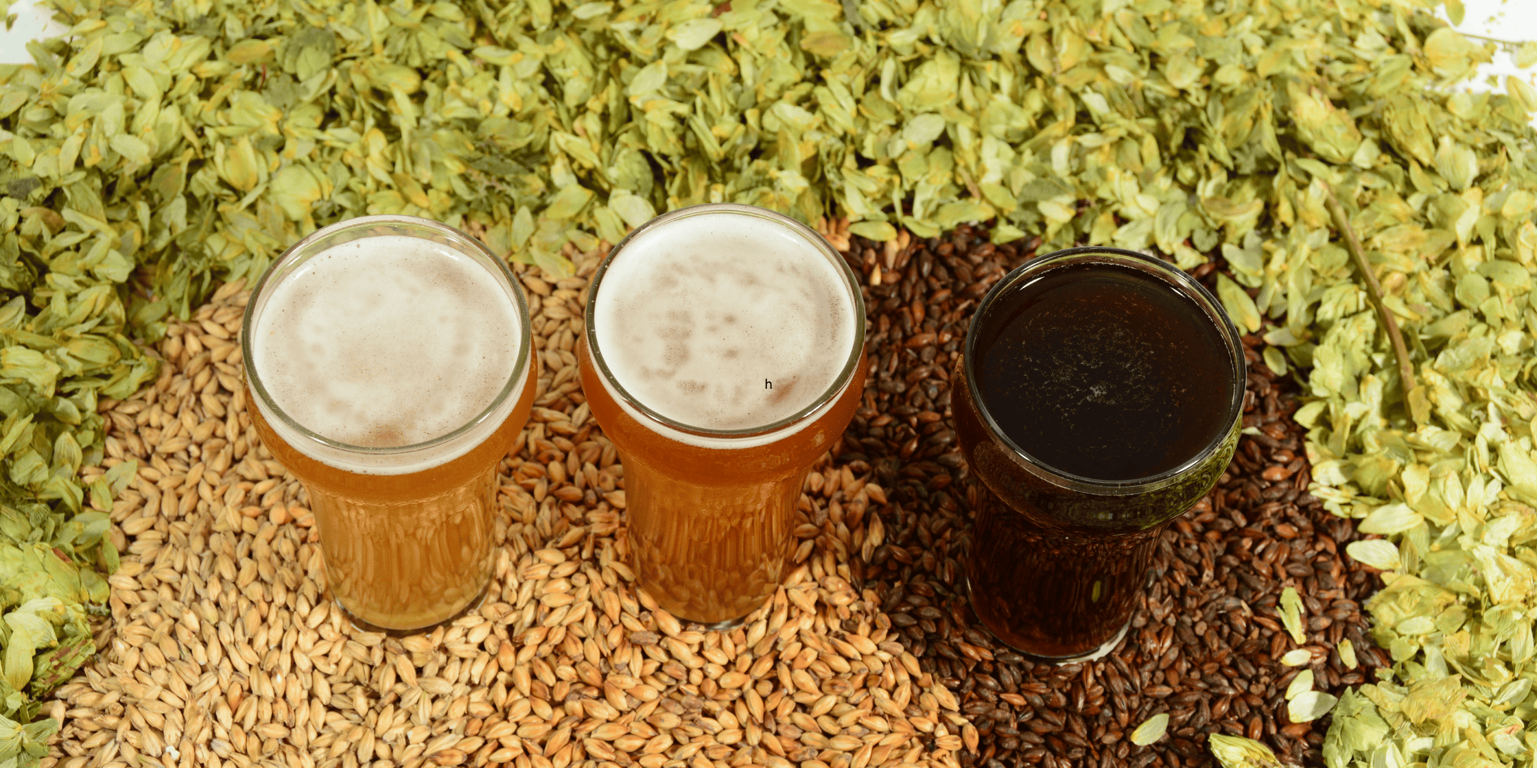 The Beer Brewing Process: How to Make Great Beer at Home