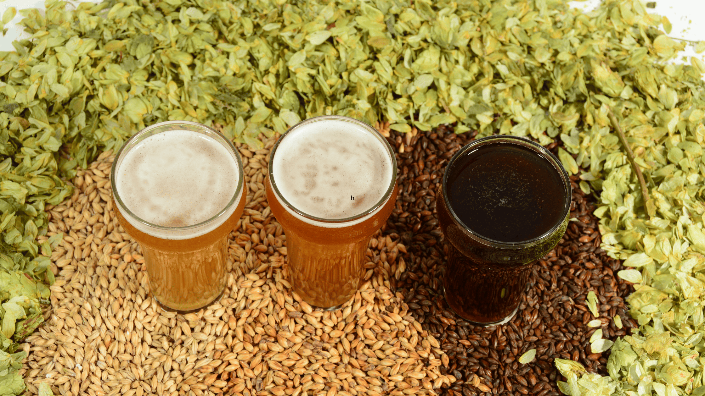The Beer Brewing Process: How to Make Great Beer at Home