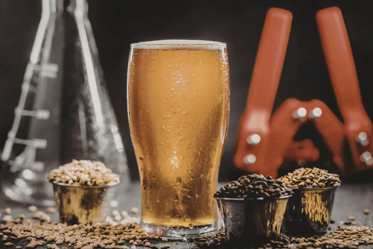 Making Beer From a Kit: A Beginner's Step-by-Step Guide to Your First Homebrew
