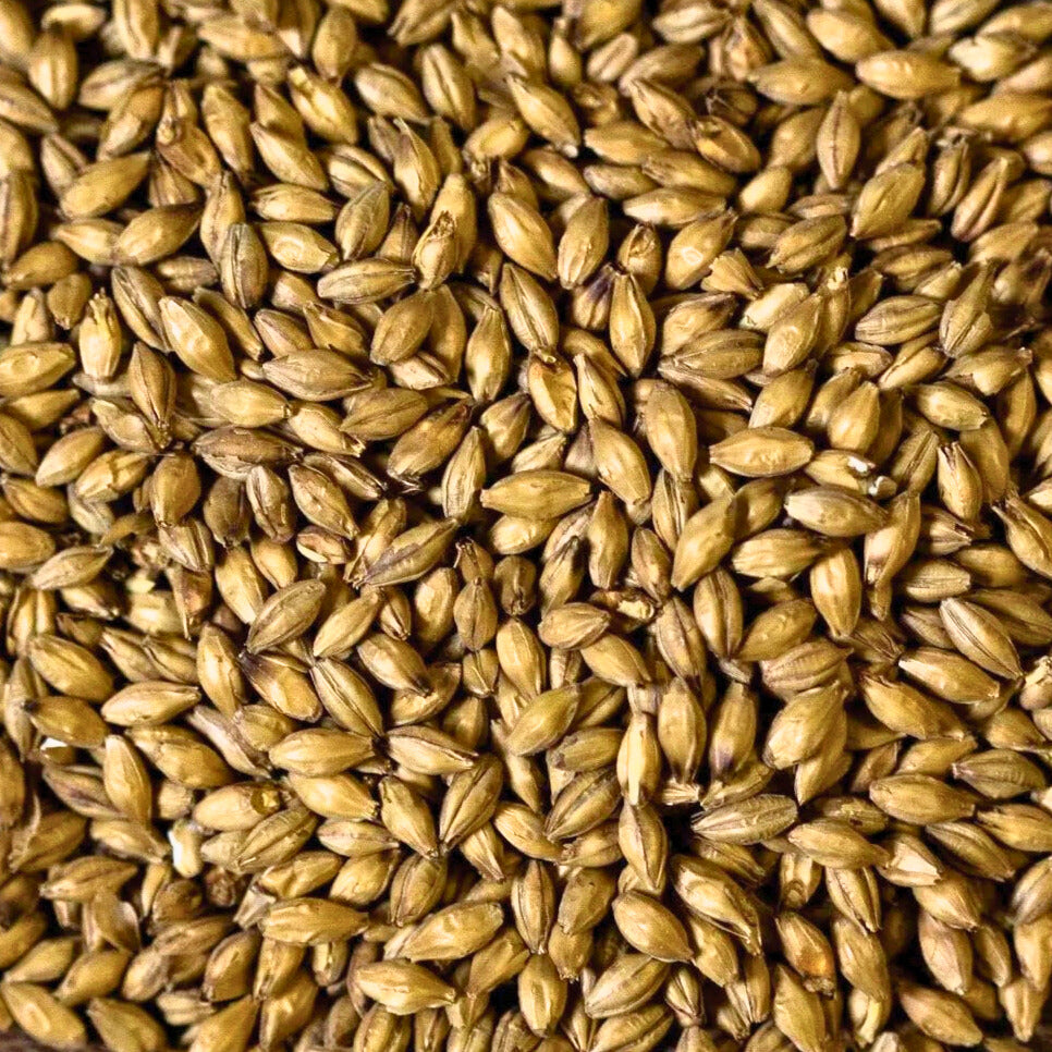 Malt Brewing Ingredients 