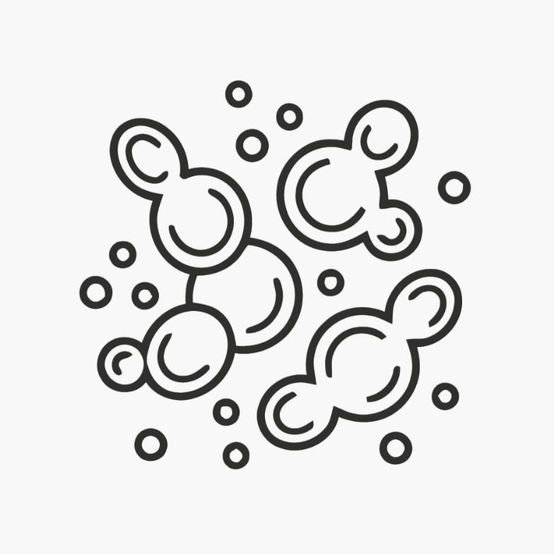 Yeast