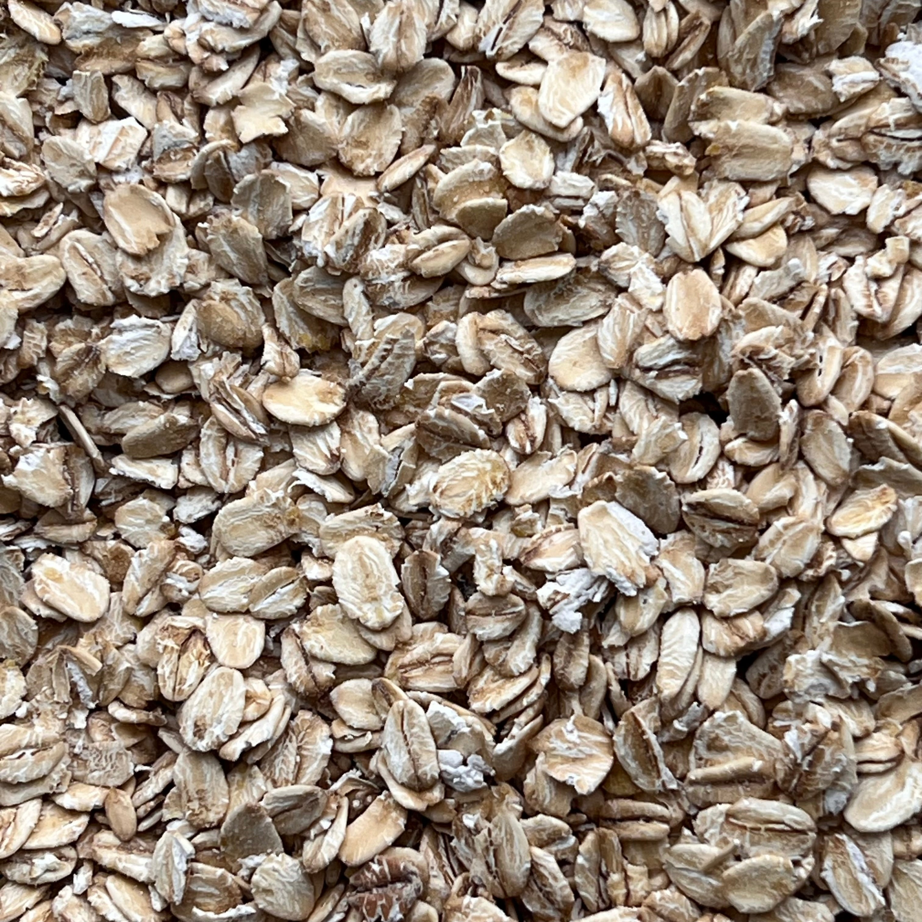 Non Malted Cereals