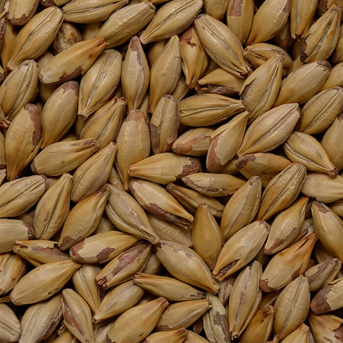 Caramalt / Crystal Malt