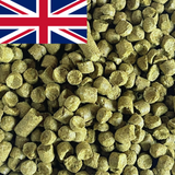 UK Goldings T90 pellets 2023