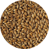 Crisp Cara Gold Malt