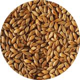 Crisp Cara Malt