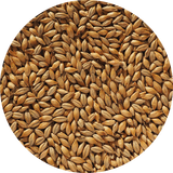 Crisp Best Ale Malt