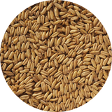 Crisp Naked Oat Malt