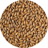 Crisp Lager Malt