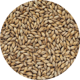 Crisp German Pilsen Malt