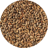 Crisp Rye Malt