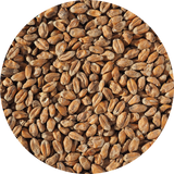 Crisp Wheat Malt