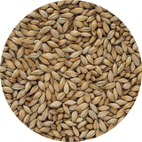 Crisp Hana Malt