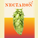 Nectaron - Northwood Hops Farm - T90 pellets 2026