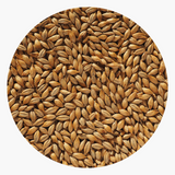 Crisp Best Pale Ale Malt